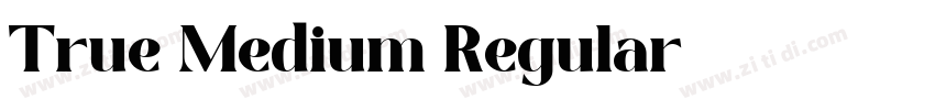 True Medium Regular字体转换